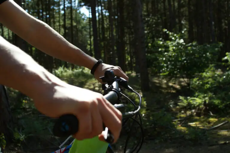 cropped hands person holding bicycle handlebar forest