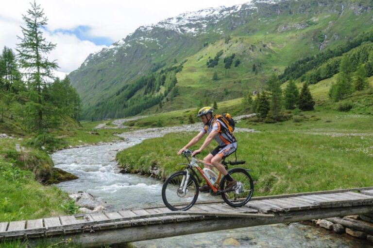 ebike 17184