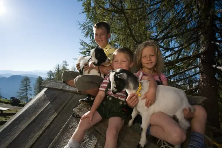 ferienregion salzburger lungau