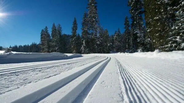 Gespurte Langlaufloipe mit herrlichen Winterwetter