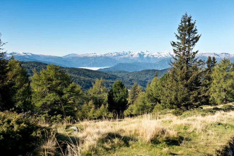 lungau sommer 02